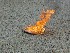 Kenny's Fire Extinguisher Demo